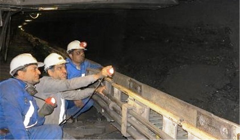 مدیرعامل خانه معدن خراسان جنوبی: دولت منابع کافی برای تأمین سرمایه بخش معدن را ندارد