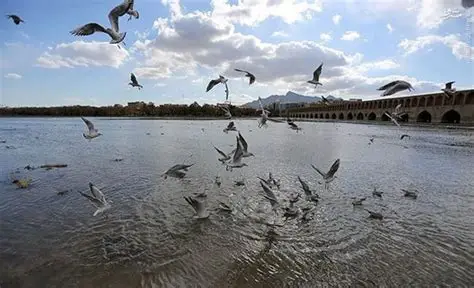 اصفهان بدون پرندگان مهاجر؛ فصل آخر یک سریال آبی اصفهان بدون پرندگان مهاجر؛ فصل آخر یک سریال آبی